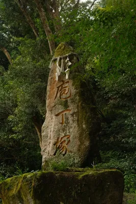 DSCF7850.JPG