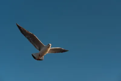 DSCF9044.JPG