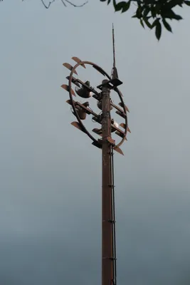 DSCF7202.JPG