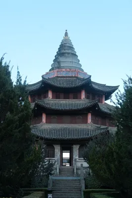 DSCF9901.JPG