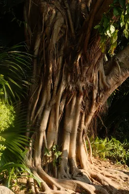 DSCF8729.JPG