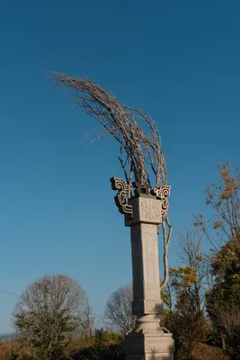 DSCF8925.JPG