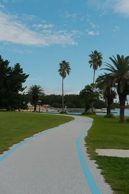 DSCF7308.JPG