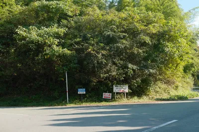 DSCF7782.JPG