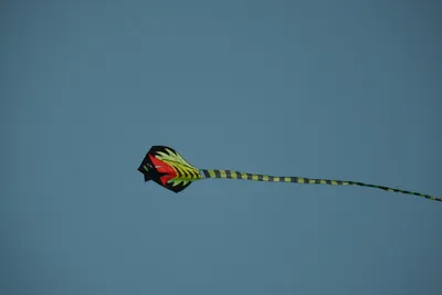 DSCF9316.JPG
