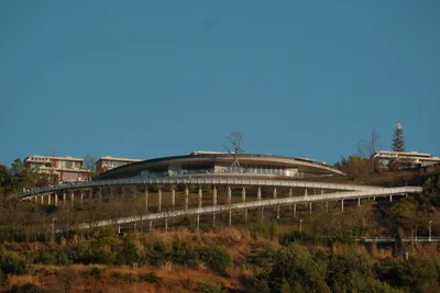 DSCF9628.JPG