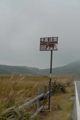DSCF7509.JPG