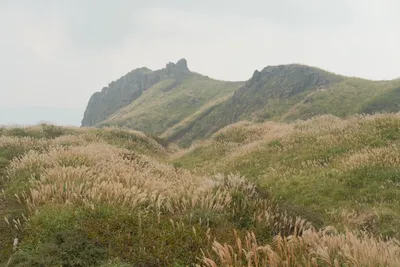 DSCF7489.JPG