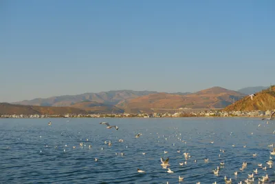 DSCF1054.JPG