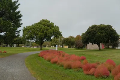 DSCF7253.JPG