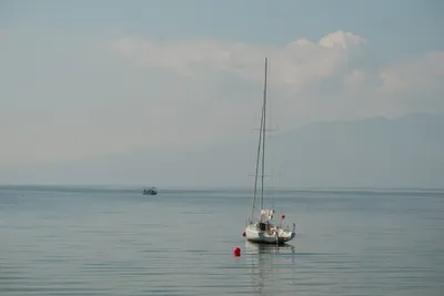 DSCF9267.JPG