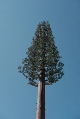 DSCF9315.JPG