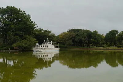 DSCF7250.JPG