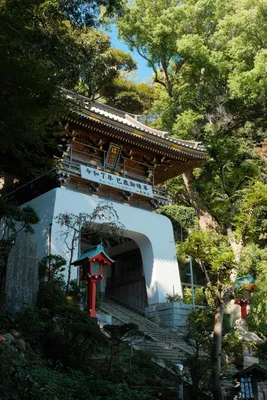DSCF7088.JPG