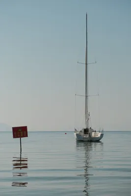 DSCF9225.JPG