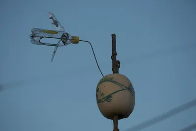 DSCF5770.JPG