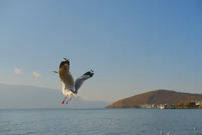 DSCF1001.JPG