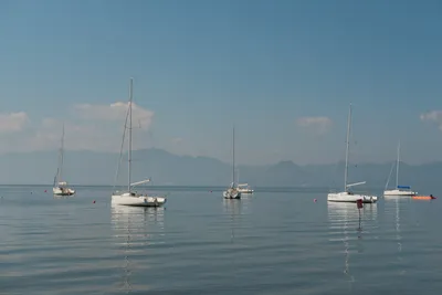 DSCF9216.JPG